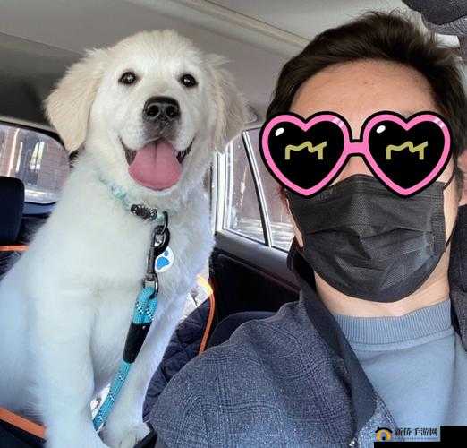 狗狗闯入 Zoom 会议，它是人还是宠物？