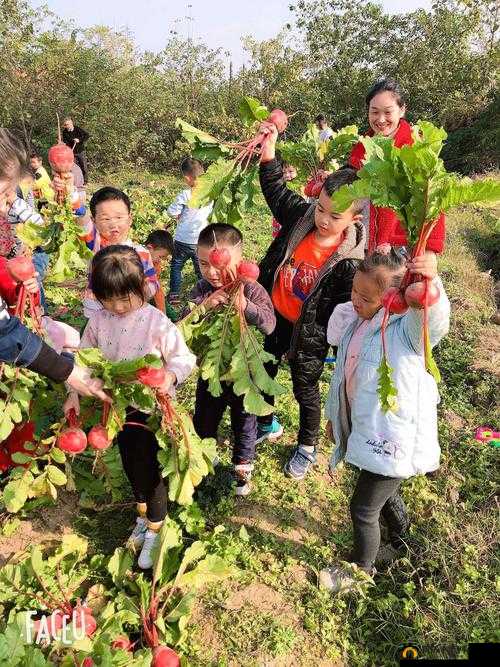 拔萝卜不盖被子——趣味童真，探索自然