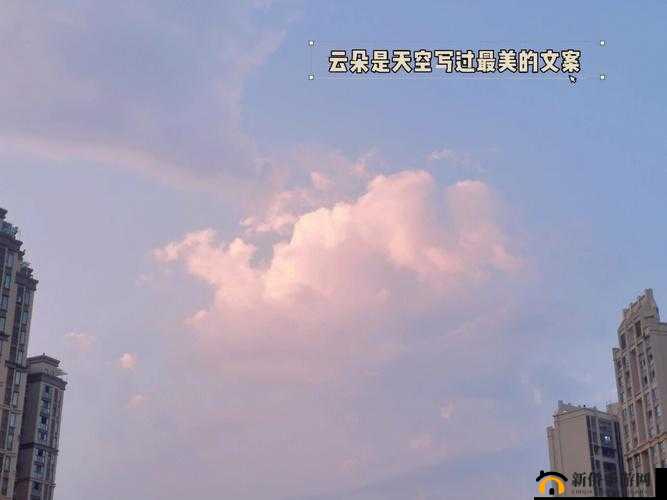 GOGOGO 大但人文艺术创作背景：探索未知，发现美好