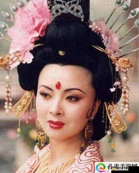 丰裕纵满杨玉环 2588 演员表