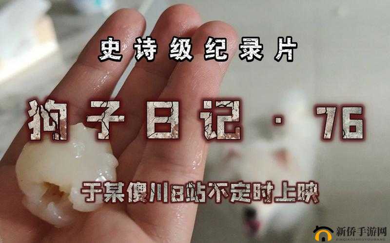 鍧愮潃杞娴佹彁鍙岃吙鑳借捣鍒颁粈涔堟晥鏋-探究其奥秘