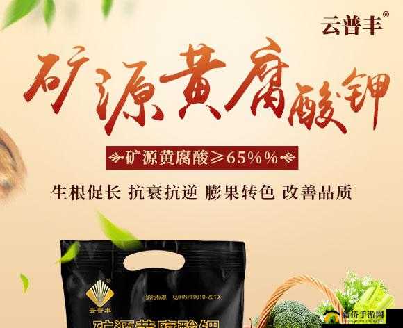 娌欏彂鍦ㄥ摢涓缃戠珯涔颁究瀹滃張濂：探索其奥秘