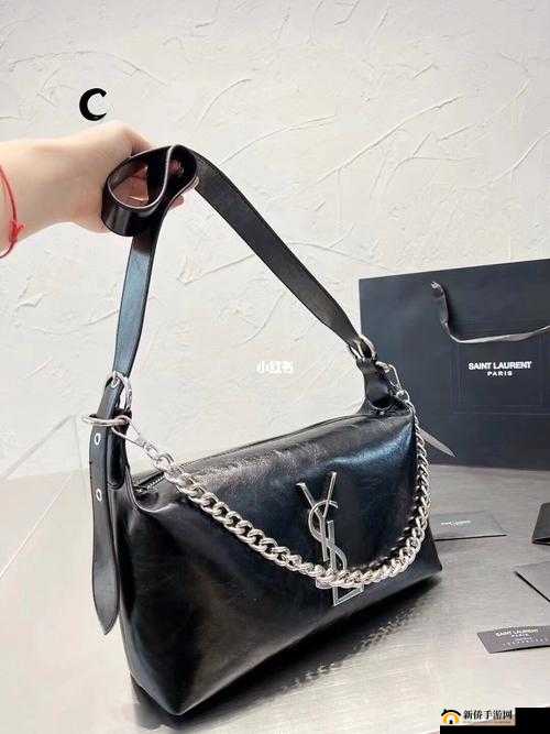 ysl 鍙ｇ孩姘磋湝妗冭壊鍙穞 78fe：探索时尚与艺术的边界