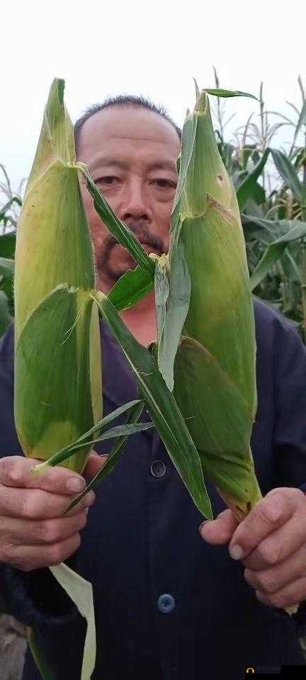 楸块奔 b2577 鐩存帴杩涘叆浜轰簨灞鏃犻檺绮惧僵鍐呭：探索未知的奇妙之旅