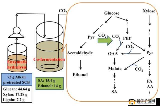 鏀舵湇涔斾箶 1v4 对战分析