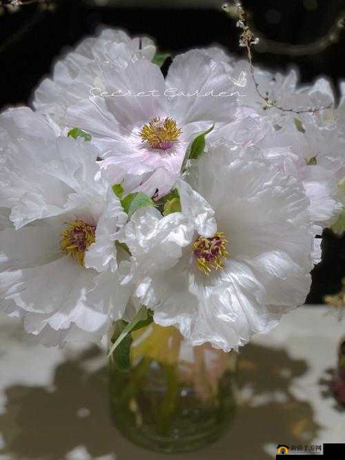 鐗′腹鑹蹭富绾挎渶鏂颁富绾：探索其奥秘