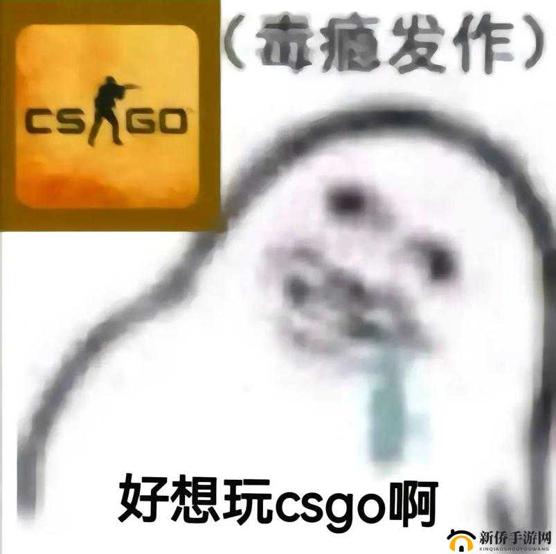 55 岁大叔玩 CSGO：惊人的游戏之旅