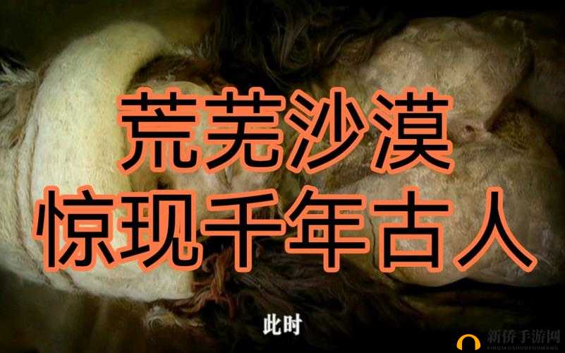 b 绔欐帹骞垮叆鍙 2024mmm 鏃犵梾姣：探索未来的关键之年