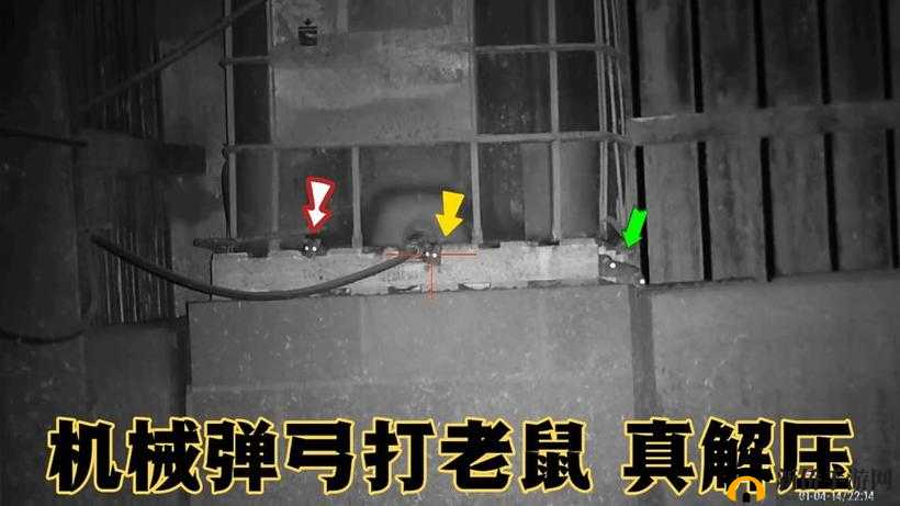 鐢橀洦琚鐩楀疂鍥㈡尋鎵：探寻背后的故事