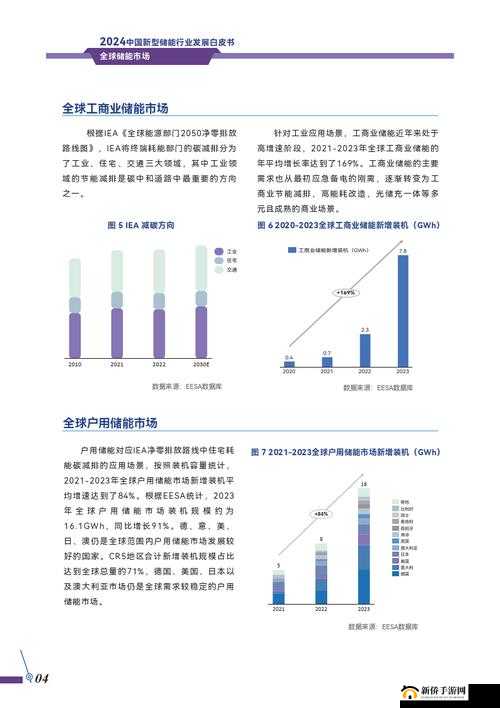 y w 姘镐笉澶辫仈鍥介檯 2024：探讨数字时代的机遇与挑战