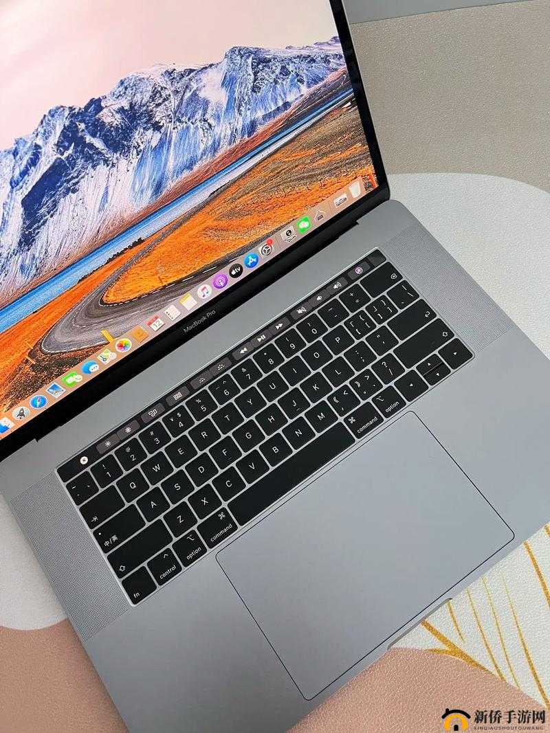 1819 款 MacBook Pro 鍊煎緱璐涔板悧锛 ：性能强劲的专业笔记本