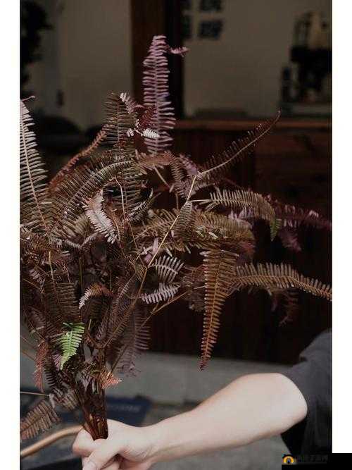 JAZZ 鑰佸笀鍜孒 IPHOP 鑰佸笀：音乐风格的碰撞与交融