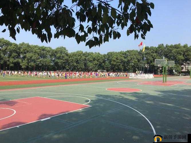 鎬＄孩闄 xxx 的独特魅力