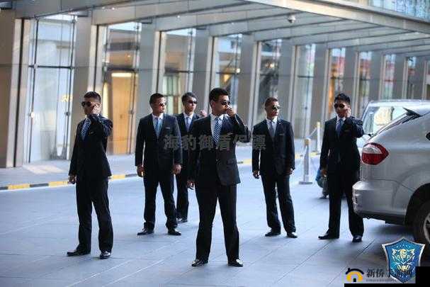 旋风保镖：羁绊之力，守护天下