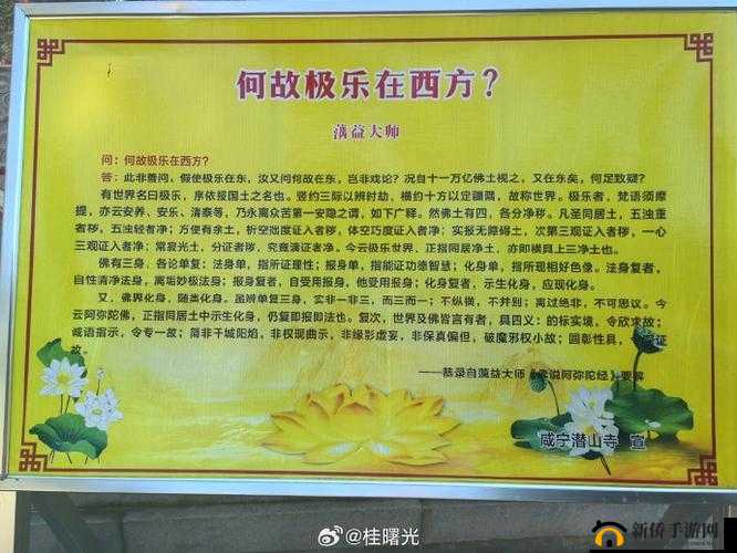 禅问神社修行题目览：修行之路，智慧解答之旅