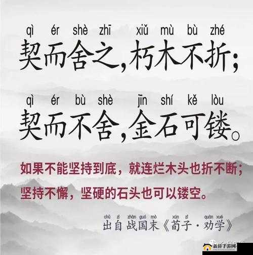 锲戒骇鍙堢編鍙堟紓浜鐨凷UV 之魅力展现