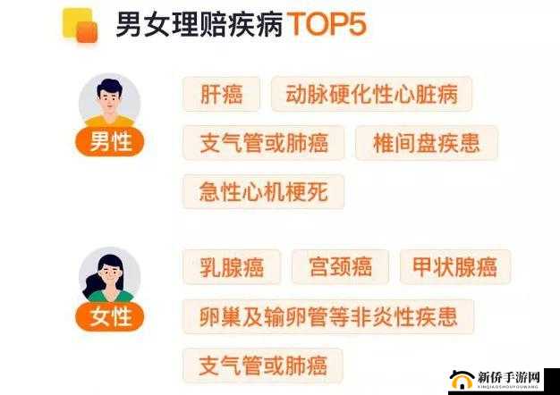 鎴愯壊濂界殑 y31 涓婄嚎鏃ユ湰鍦板尯 特色介绍