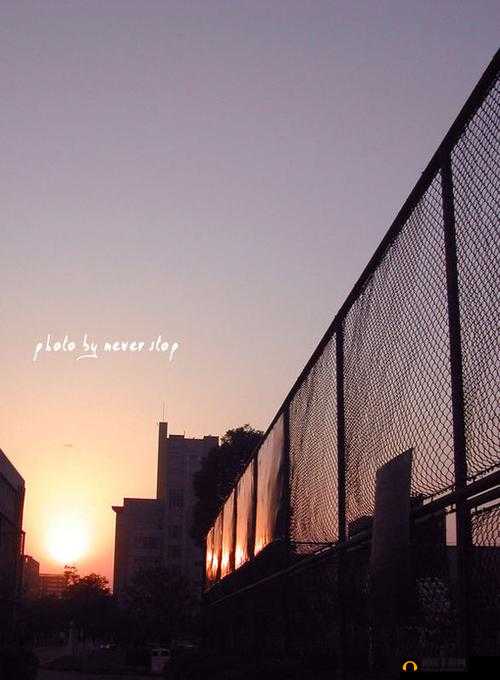 闈掗潚娌宠竟鑽夐珮娓呭厤璐圭増鏂伴椈之相关内容