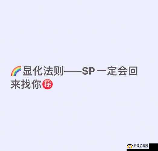 SP ：探讨其含义与应用