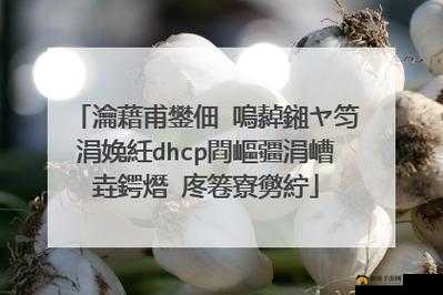 鍏嶈垂鐪嬬殑 WWW 鍝斿摡鍝斿摡鍔ㄦ极的相关内容探讨