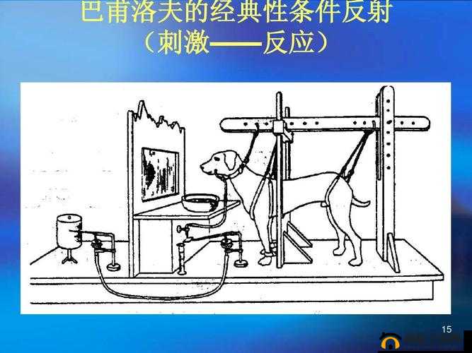 aisinoty810鑹插甫：独特的存在