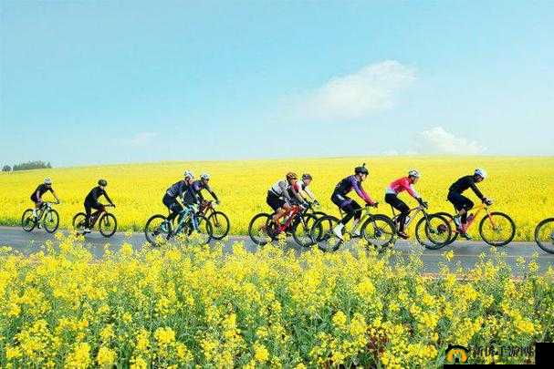 一前一后三个人一起骑自行车：快乐骑行之旅