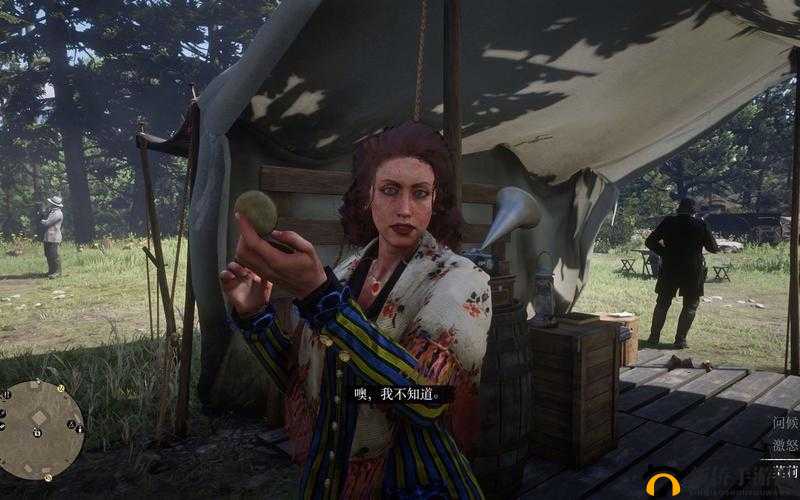 荒野大镖客大妈视频：精彩的西部冒险之旅