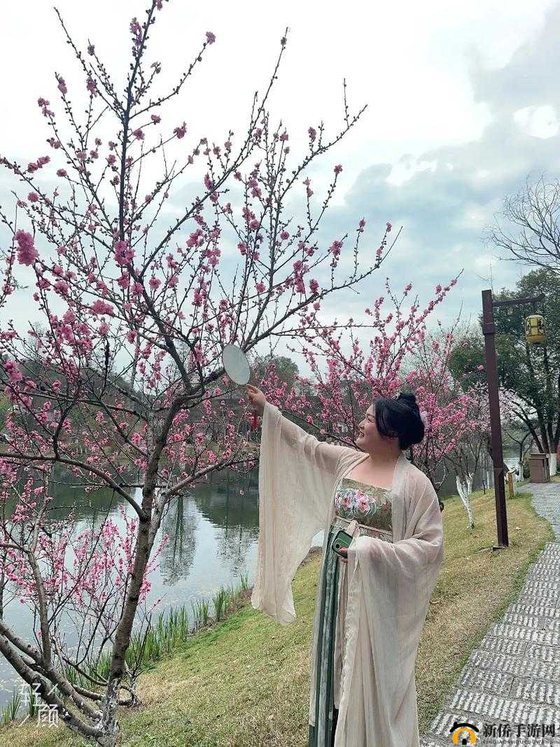 重游母亲桃花源：重温美好回忆