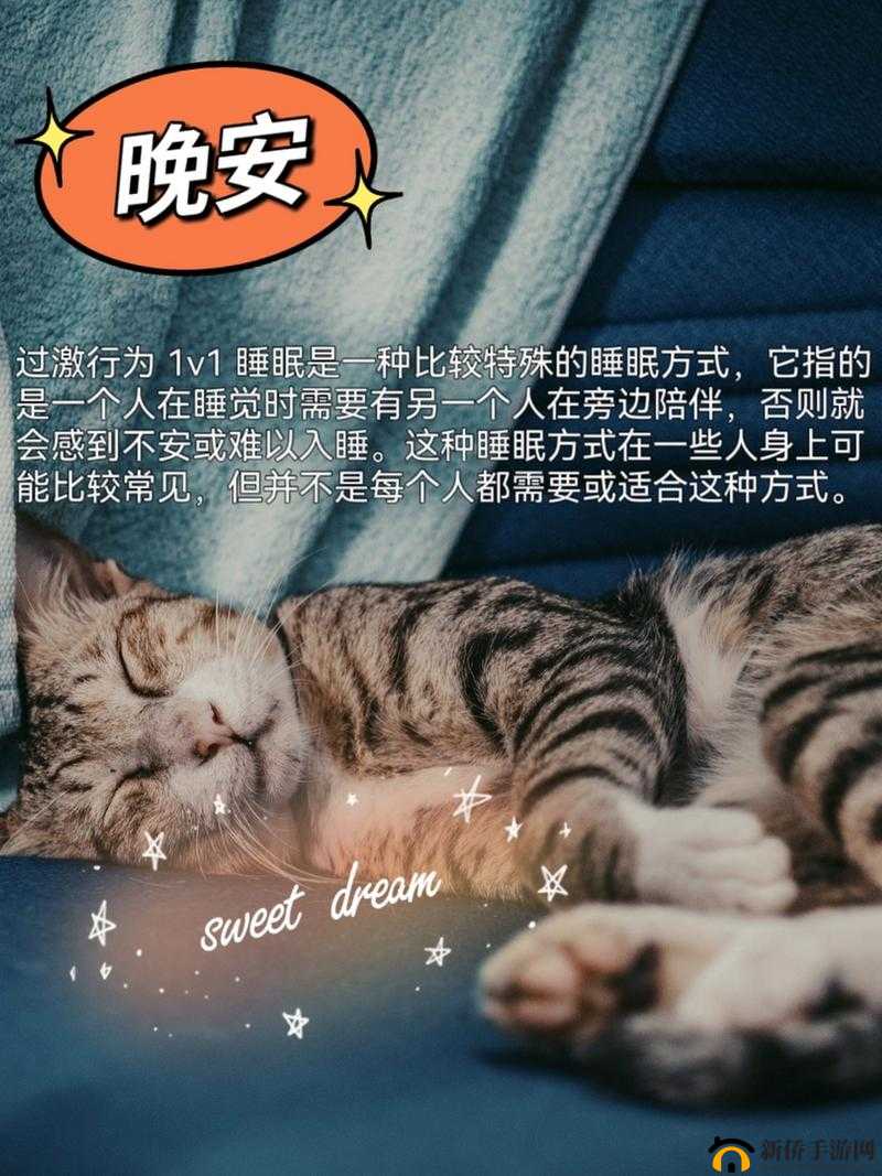 过激行为 1v1 睡眠对我很重要吗：我们是否忽视了睡眠的真正价值
