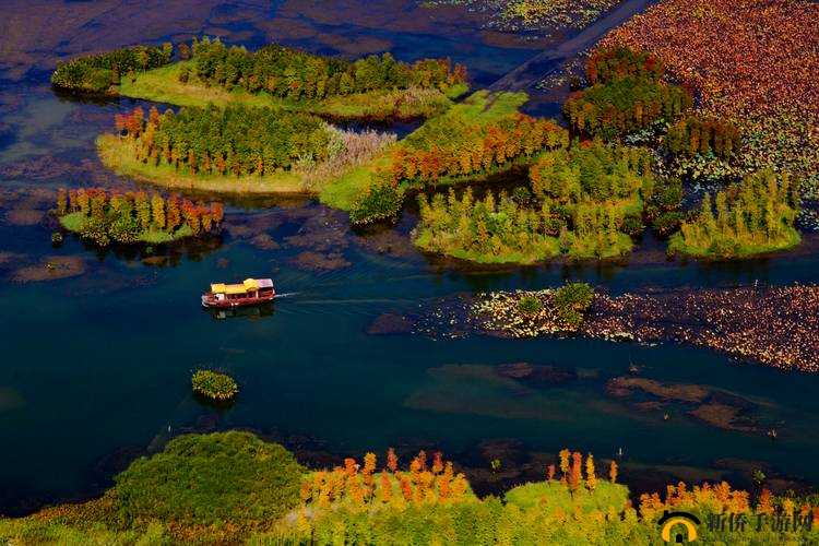 中国高清 windows 视频软件：畅享高清视频体验