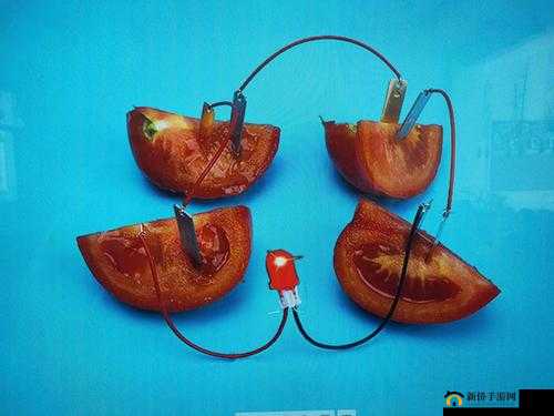 将水果放在小洞里捣碎：探索独特的处理方式