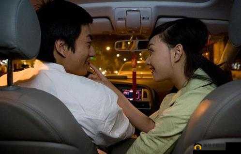 两个人夜晚在车上：共度私密时光