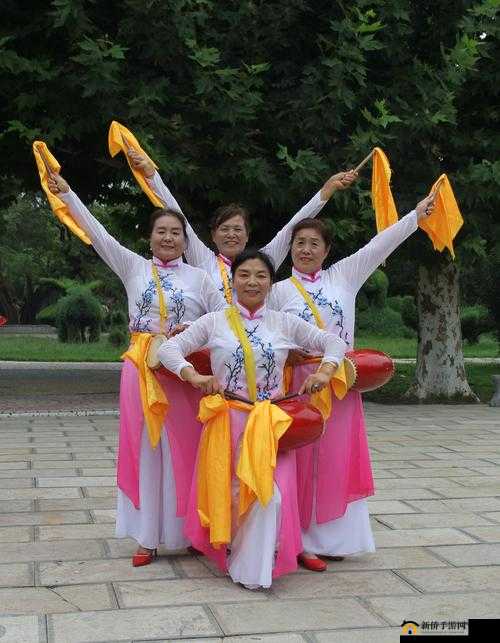 oldmacdonald 中老年乐：快乐舞动夕阳红