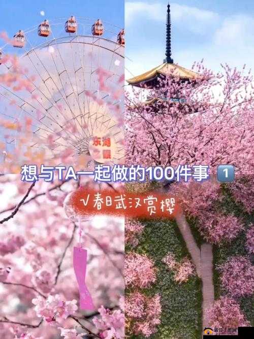 请用你的手打扰我樱花：与樱花共舞，感受美好时光
