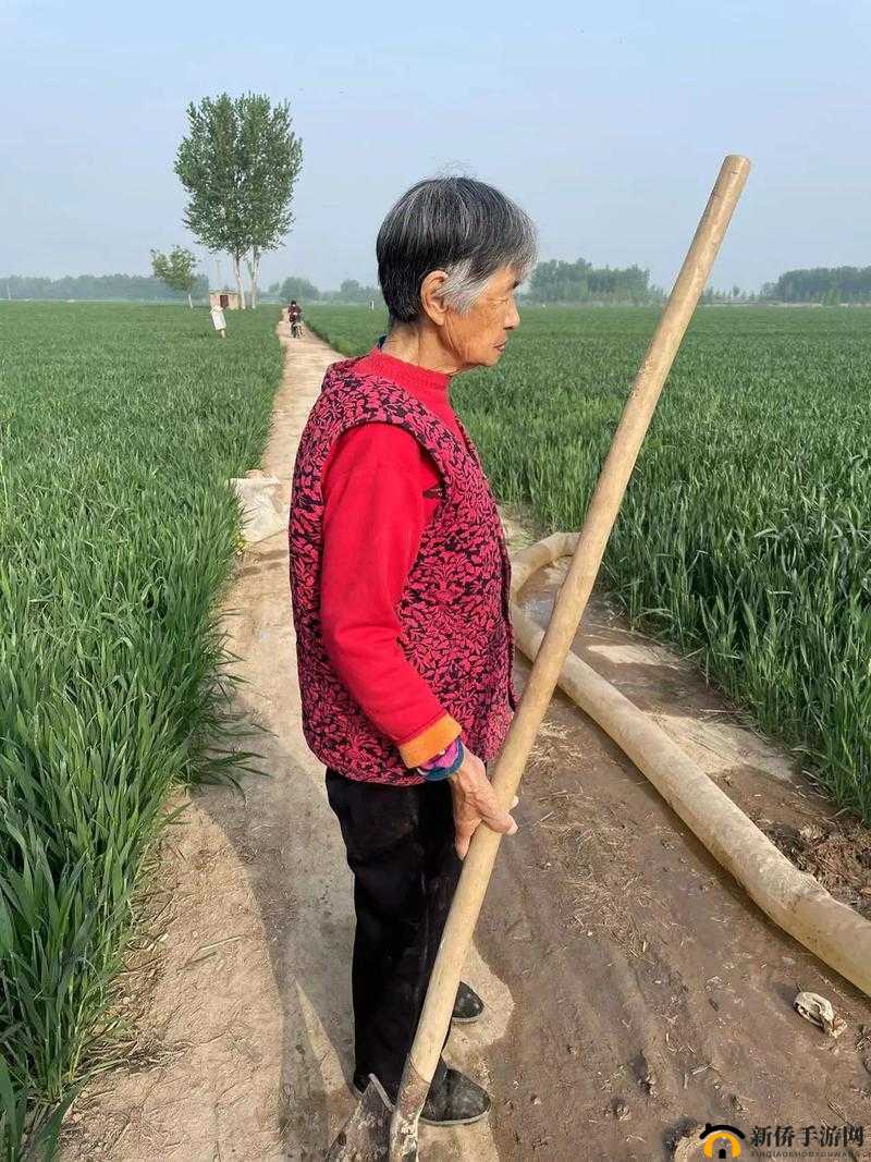 田野里的母亲：辛勤耕耘的身影