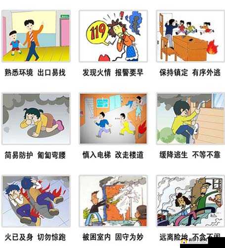 丛林法则大逃命：高效回血秘籍与应急受伤处理指南