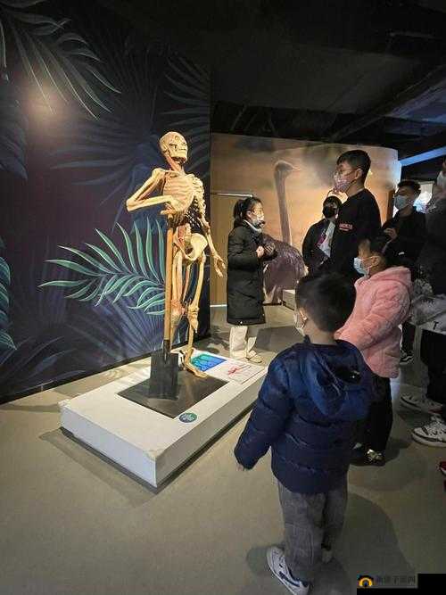 二人生猴子真人版：探索生命奥秘的奇妙之旅