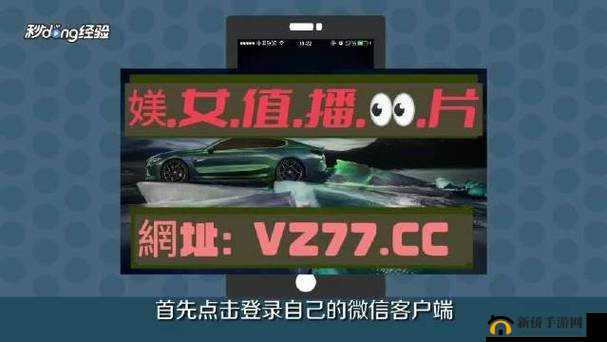 欧亚专线欧洲 S 码 WMY 全部资讯汇总