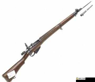 使命召唤手游中的李恩菲尔德枪全面属性解析与实战指南：精准射击伤害测试与操作技巧全攻略