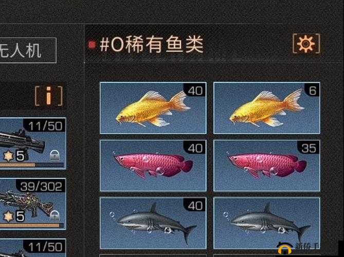 明日之后：锦鲤钓点推荐，轻松捕获水中精灵