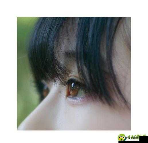 没带罩子让他吃了一天的有事吗：后续如何