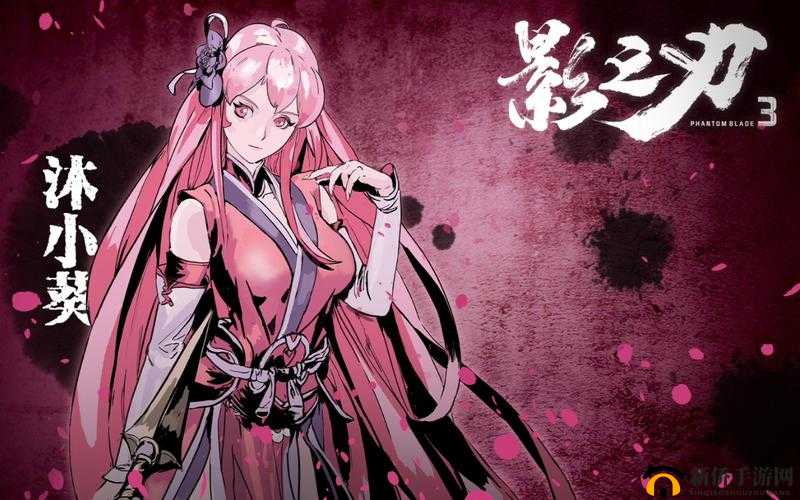 《破甲之秘：影之刃全面解析》