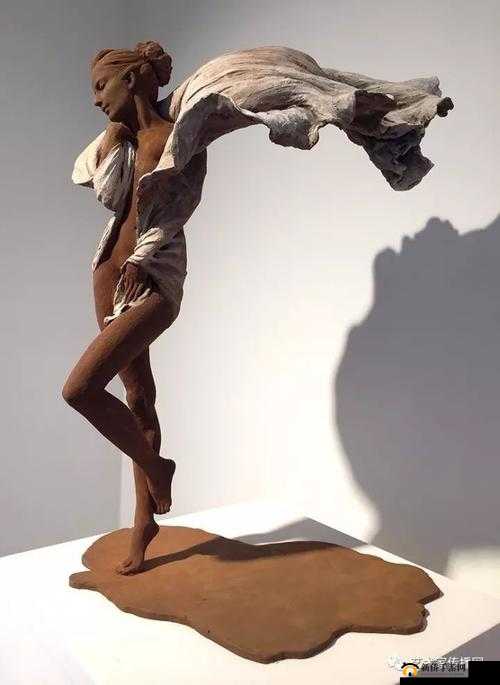 47417 大但人文艺术作品：独特魅力展现