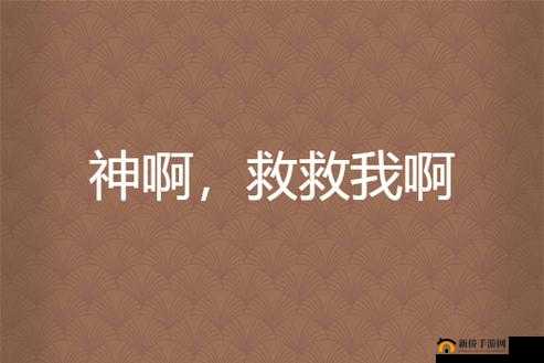 探索秘法系统的神秘面纱：神啊救救我吧的惊天秘密