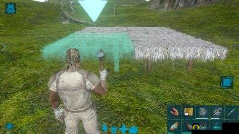 茅草屋建造秘籍：方舟生存进化中的地基选址与茅草屋搭建指南