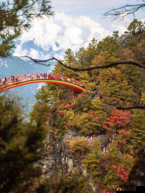 荒野潜伏者预约攻略：详细地址览及探秘之旅开启