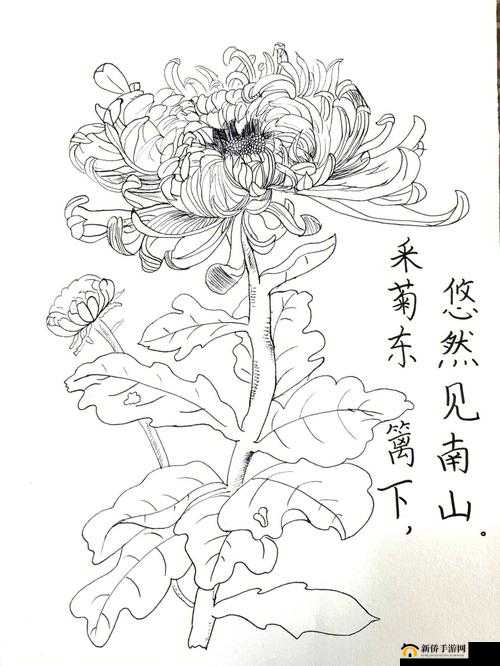 答错一题菊花放一支笔温客行：独特的挑战设定