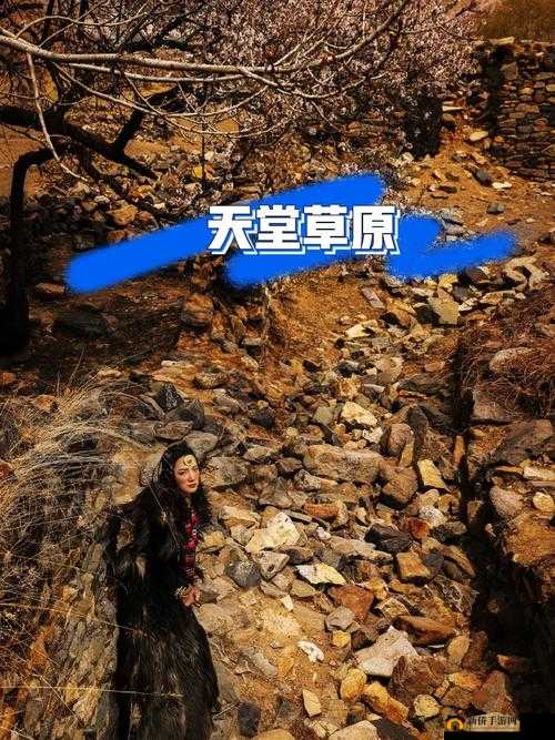 天堂草原最受欢迎电视剧：经典佳作备受瞩目