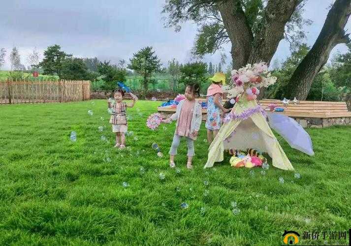 Zoom26 牧场：探索自然的乐园