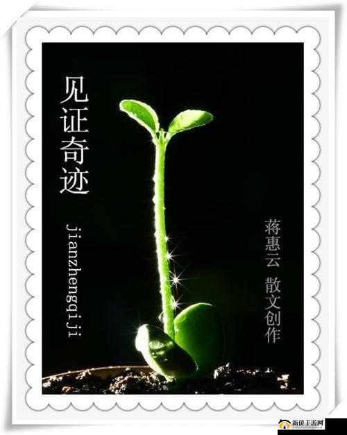 红桃 38.43：见证奇迹的时刻